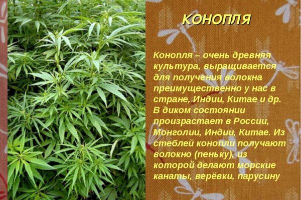 Кракен сайт как зайти