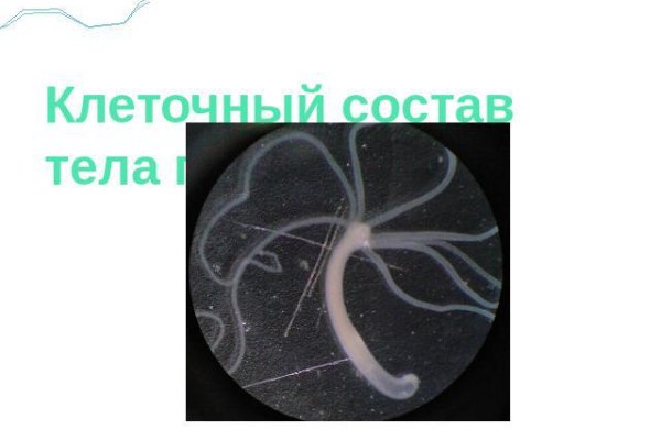 Ссылка кракен сайт зеркало