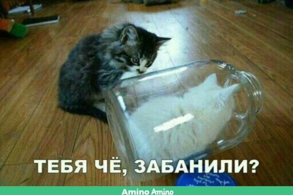 Как пополнять кракен тор