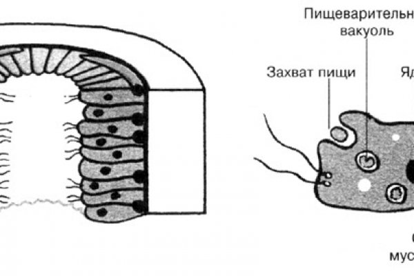 Кракен площадка зеркало