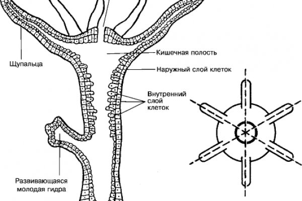 Кракен сайт kr2web in цены