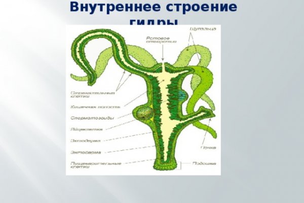 Кракен маркет зайти