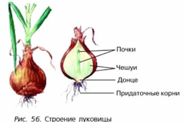 Кракен ссылка новая